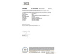 防靜電橡膠墊SGS-阻燃檢測報告-英文版