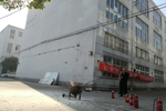 【上?！縿?chuàng)選寶加強(qiáng)消防演練 提升安全意識和技能